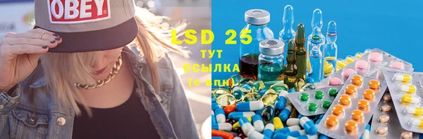 PSILOCYBIN Гусев