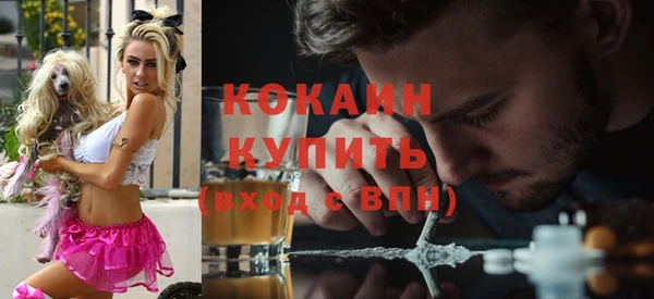 PSILOCYBIN Гусев