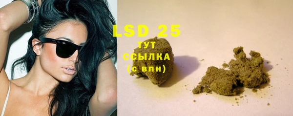 PSILOCYBIN Гусев