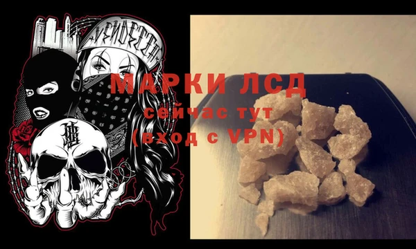 PSILOCYBIN Гусев