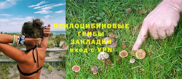 прущая мука Гусиноозёрск