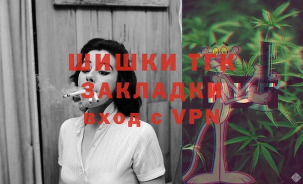 PSILOCYBIN Гусев