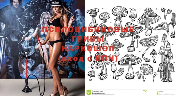 PSILOCYBIN Гусь-Хрустальный