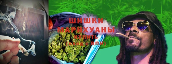 PSILOCYBIN Гусь-Хрустальный