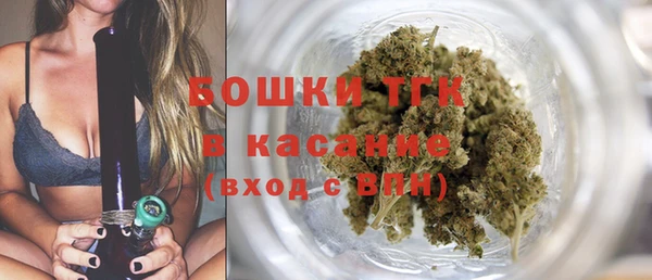 PSILOCYBIN Гусев