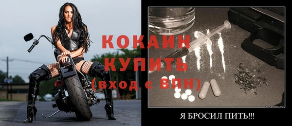 PSILOCYBIN Гусь-Хрустальный