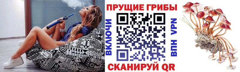 Галлюциногенные грибы Magic Shrooms  Берёзовка 